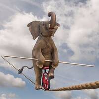 Nellie The Elephant (Mandy Miller cover) by Kaptain Bigg