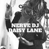 Daisy Lane