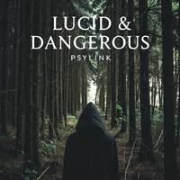 Lucid and Dangerous (Niko?) by Psylink