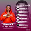 DjSeniorB1