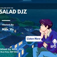 Chilling With the Salad DJz 4 by mzievic