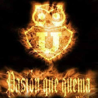 Alan Arancibia DE MI Alejandrita Vega