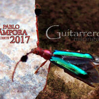 Guitarrero 03 De no olvidar by Pablo