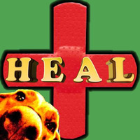 HEAL by jerksauceproject