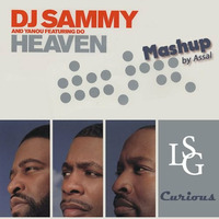 Assal: LSG - Curious Vs DJ-Sammy &amp; Yanou feat Do - Heaven (2013) by Assal