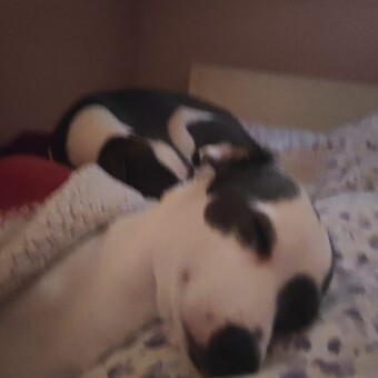 Kevin Manterola Pintos