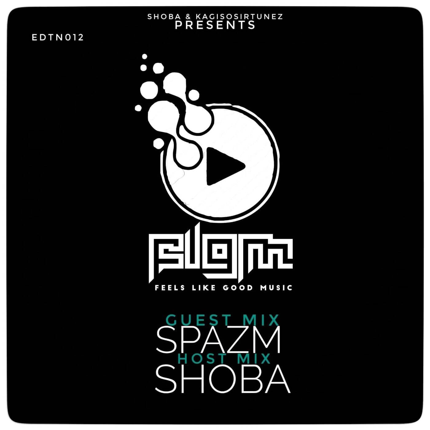 Feels Like Good Music EDTN 012 SHOBA (SideA)