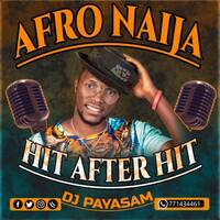 AFRO NAIJA (HIT AFTER HIT) - DJ PAYASAM by DJ PAYASAM