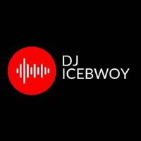 Chris Brown Best songs Young Thug|Davido|Trey songz|Yung Bleu|H.E.R| nonstop mix 2022,2021 Iffy music DjIcebwoy 2022 by Dj Icebwoy