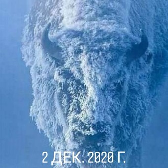 Денис Лаврецкий