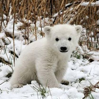 St&eacute;phane Hubert