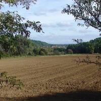 PODCAST - Montpellier métropole : des habitants préfèrent l'oxygène à "Oxylane" by Sans transition!