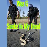 Wez G - Snake In My Head by Wez G