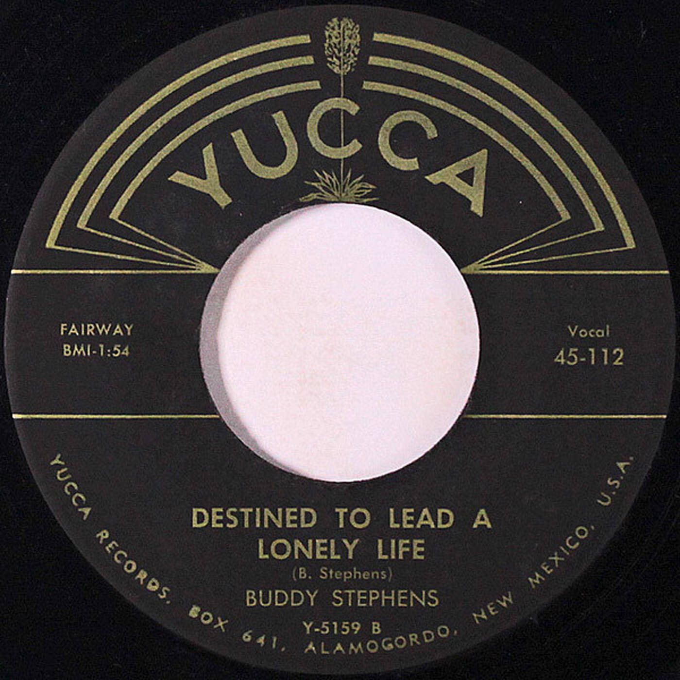45 Buddy Stephens - Destined To Lead A Lonely Life (1959 Yucca 45-112) episode artwork