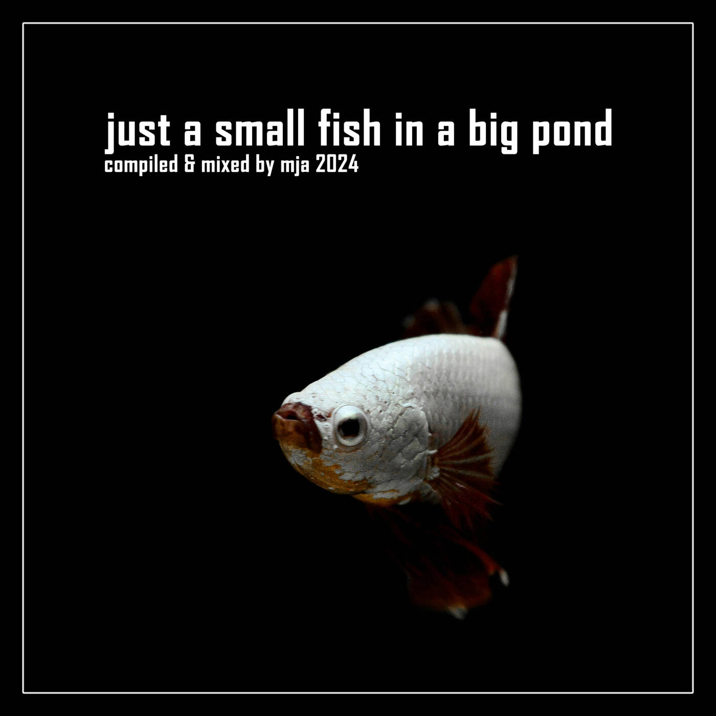 mja music switzerland