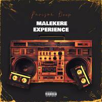 Malekere Exprience 005 Mixed by Parison Deep by Parison Deep