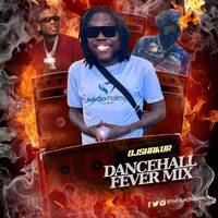 Dancehall Mix 2025, Dancehall Fever, Winter Steam Ft Shawn Storm, Alkaline, Intence, Prince Swanny by Dream-Sound Media