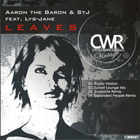 Aaron The Baron and STJ feat Lys Jane - Leaves (Soulplate Remix) by Soulplaterecords