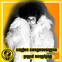 Fundamental Funk - Golden Gorgeousness - Liquid Sunshine @ The Face Radio - Show #122 - 30-08-22 by Liquid Sunshine