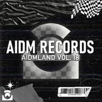 Har Funn Maula - DJ A.Sen x DJ Mitra Slap House Mix by AIDM