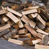 UNDERBEAT LENHA!REC-2019-11-26 by Marcelo Underbeat