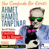 #42 Şerif Eskin Anlatıyor: "Ensitütü Ne İş Yapar?" by Sanat Kritik