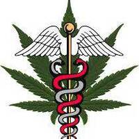 Medicinal Purposes (420 Dub Part 4) by Aunt B