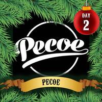 Parliament - We Got The Funk (Pecoe 2016 Flip) by lifesupportmachine