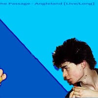 The Passage - Angleland [Live/Long] 1982/2026 by Joe Mckechnie