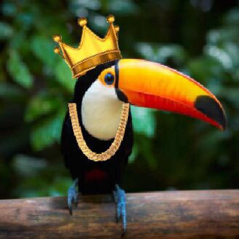 Les Podcasts Du Toucan