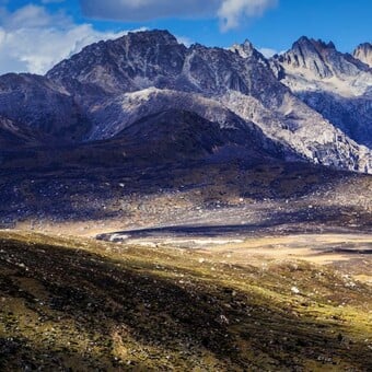 Naoj Trr&Atilde;&sup3;