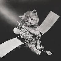 S+D, Vol. 243: Sentimental Journey by Static + Distance