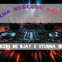 ilwa neSgubu vol4 by Umdantso music hub