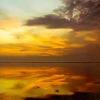 Your Mind Dancing in a Summer Night's Dream by OTSO - On The Shoulders Of