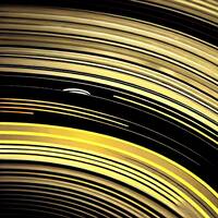 Life in Motion by ArnieP