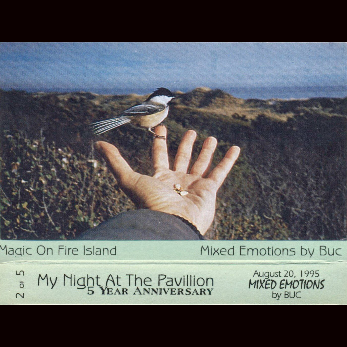 DJ Buc - My Night At The Pavillion - 5 Year Anniversary 9-20-95 - Tape 2 0f 5 (Jim Hopkins Remaster) episode artwork