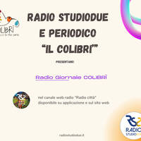Radio Giornale Colibrì 13.03.2022 by Radio Studiodue
