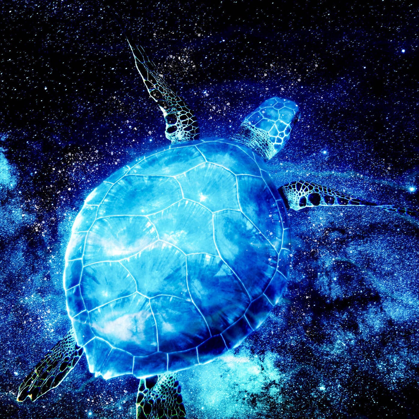 Cozy Solipsism | Italo Body Techno & Darkish Sounds