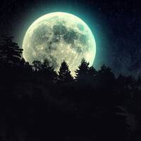 Other Noises #54 (7/11/19) - NIGHT by Zero