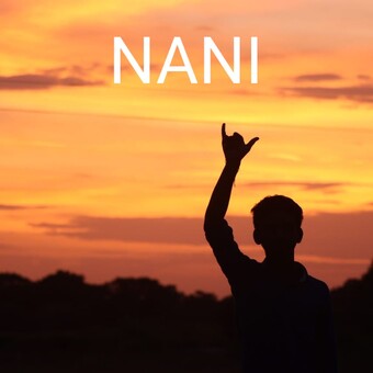 N&Atilde;&iexcl;ni Bangaram