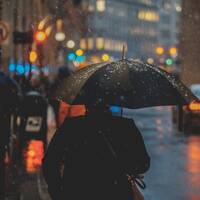 Jour de pluie 2002-04-23 by Dj TuXxL