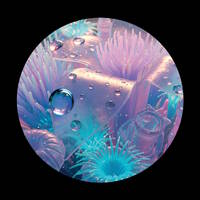 In The Mix | 14. Juni 2026 | Techno | Afterhour | Vinyl Only by Ednick