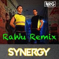 NGR! - Synergy (RaWu Remix) by RaWu