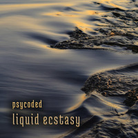 psycoded - Liquid Ecstasy by Aleksandar von Zimmer