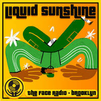 Hard &amp; Heavy Funk - Liquid Sunshine @ The Face Radio - Show #249 by Liquid Sunshine