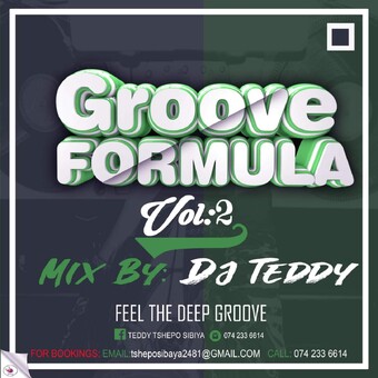 Teddy Bear Groove Formula Vol 2