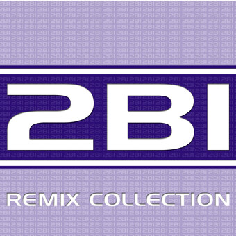 2B1 Productions - The Mixes - Edwin &amp; Richard van 't Oost