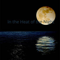 In the Heat of the Night - Miss Magic Pad by Dhin / Magic Pad Corporation
