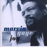 Disco Flash 25 by Disco Internet