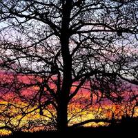 copernicus - highway to house - episode 25 by copernicus